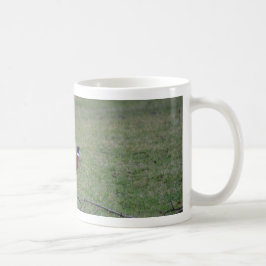Fasant Tasse