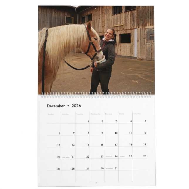 Fascination Haflinger Kalender (Dez 2026)
