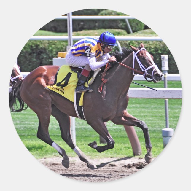 Fashion Alert gewinnt Schuylerville Runder Aufkleber (Vorderseite)