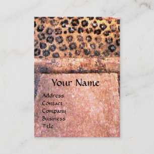 FASHION UND SCHÖNHEIT DES ANTIQUEN ÄGYPTEN-MONOGRA VISITENKARTE