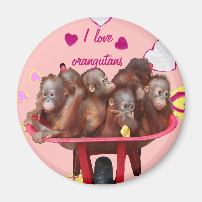 Fass Affe-Orang-Utan Babys Magnet (Vorne)