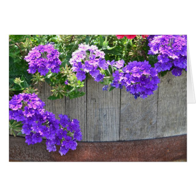 Fässer von Blume (Vorderseite (Horizontal))