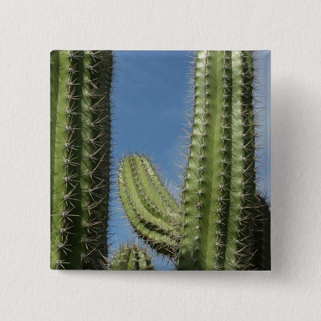 Fasskaktus I Wüstenfoto Button (Vorderseite)