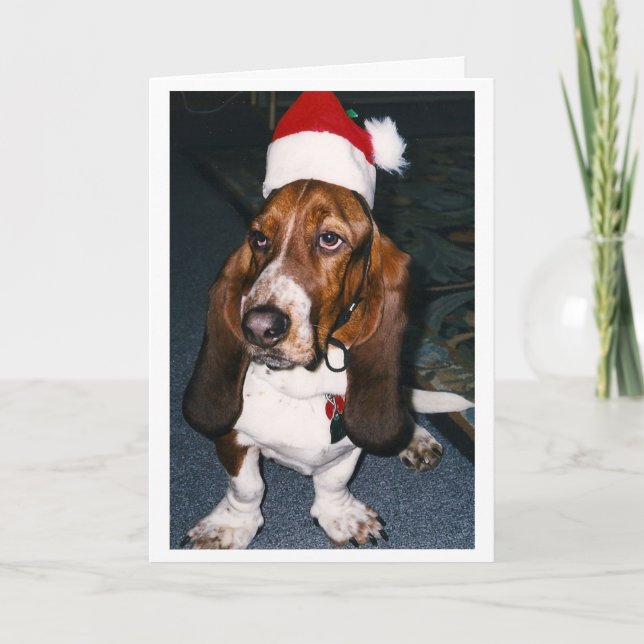 Fast Max Feiertagskarte (Vorderseite)