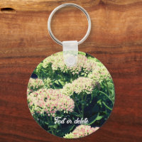 Fast-Sedum-Blume Personalisiert
