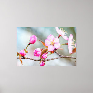 Faszination der Sakura-Blume im Frühjahrsgarten Leinwanddruck