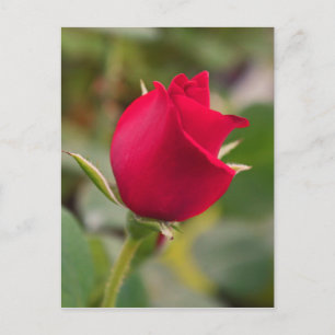 Faszination Postkarte