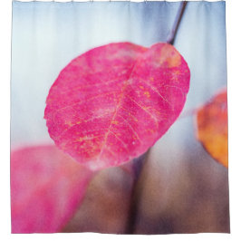 Faszinierende Blätter von Cotonou Duschvorhang