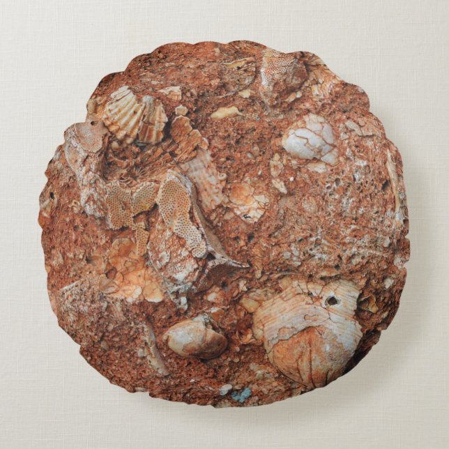 Faszinierende Fossilien Rundes Kissen (Vorderseite)