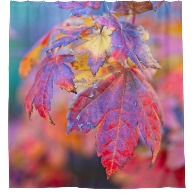 Faszinierende japanische AhornBlätter Duschvorhang (Vorderseite)