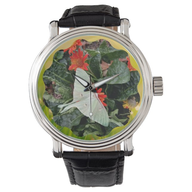 Faszinierende Luna Moth Armbanduhr (Vorderseite)