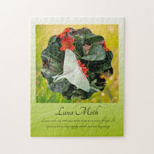 Faszinierende Luna Moth Puzzle