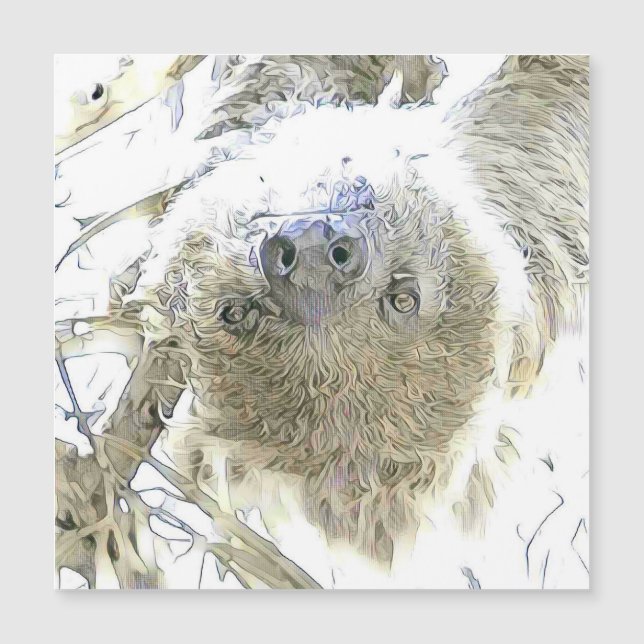 faszinierende veränderte Tiere - Faultier Magnetkarte (Vorderseite)