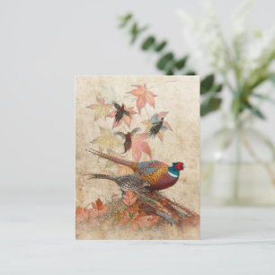 Faszinierender Acryldruck Postkarte