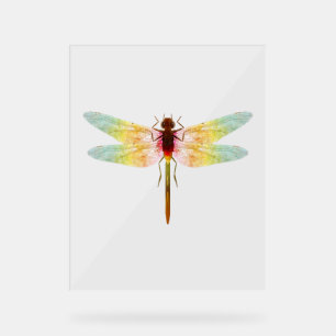 faszinierender zeichnetest einer Libelle Acrylschild