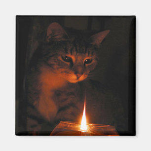 fasziniert durch Flamme Magnet