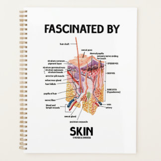 Fasziniert von der Haut (anatomische Hautschichten Planer