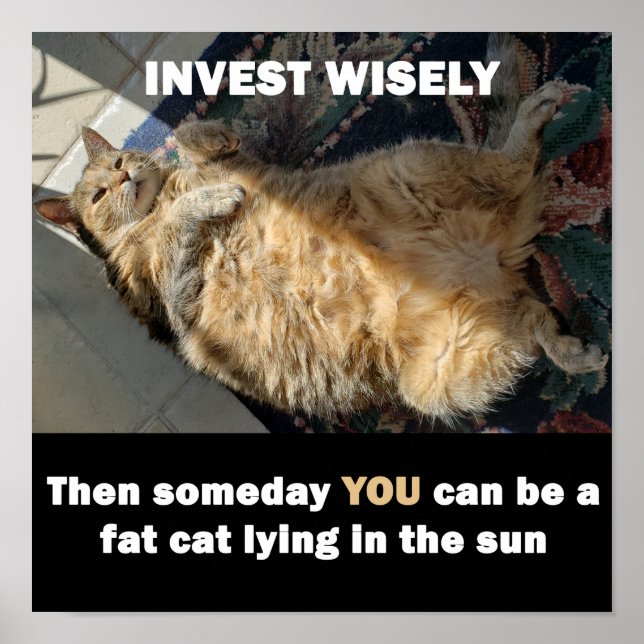 Fat Cat Invest weise Meme Poster (Vorne)
