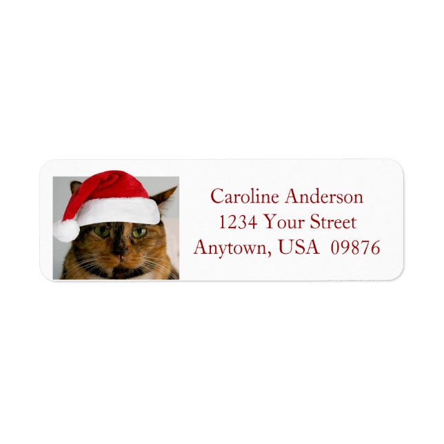 Fat Holiday Cat, Personalized Return Address (Vorne)
