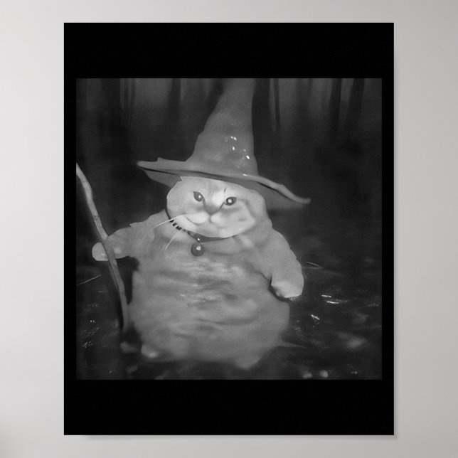 Fat Wizard Cat Fat Kitten Wizard Funny Cat Meme Br Poster (Vorne)