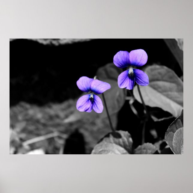 Fatal Violet Poster (Vorne)