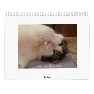 FATBOY BABUSHKA CALENDAR 2023 KALENDER