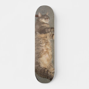 FatCat Brett Skateboard