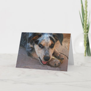 Father's Day - Best Dads are Dog Lovers Karte