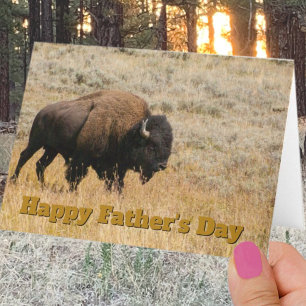 Father's Day Bison In Prairie Grass Photo Template Karte
