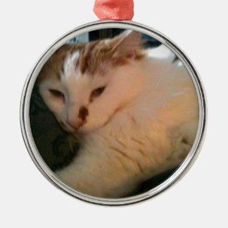 Faule, entspannte Katze Silbernes Ornament