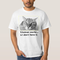 Faule Katze