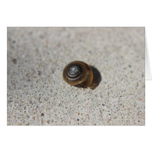 Faule Schnecke