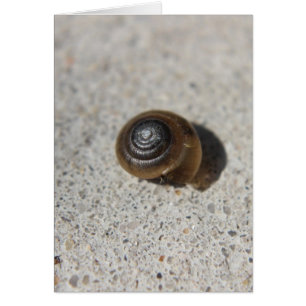 Faule Schnecke