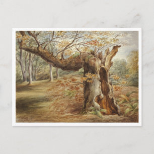 Faulender Baum von Elizabeth Murray Postkarte