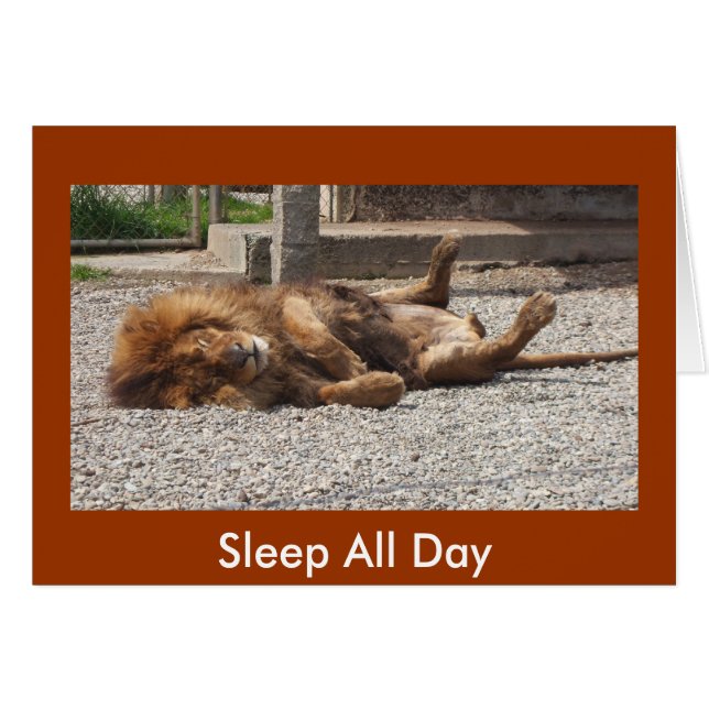 Fauler Löwe (Vorderseite (Horizontal))