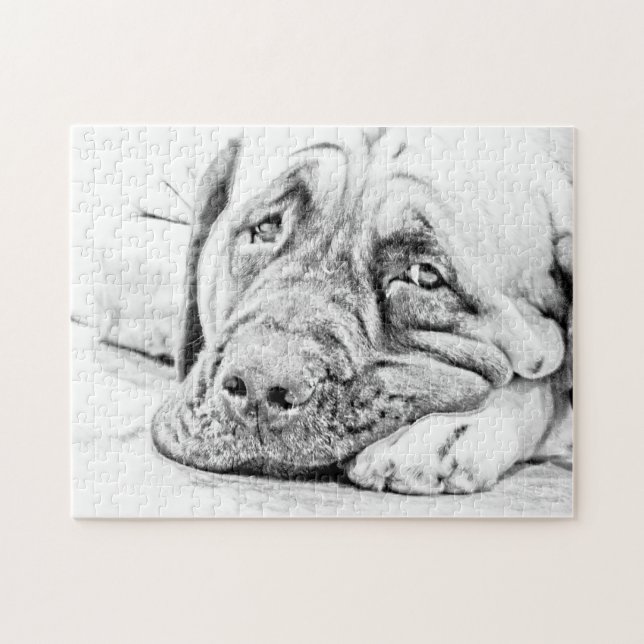 Fauler Mastiff Puzzle (Horizontal)