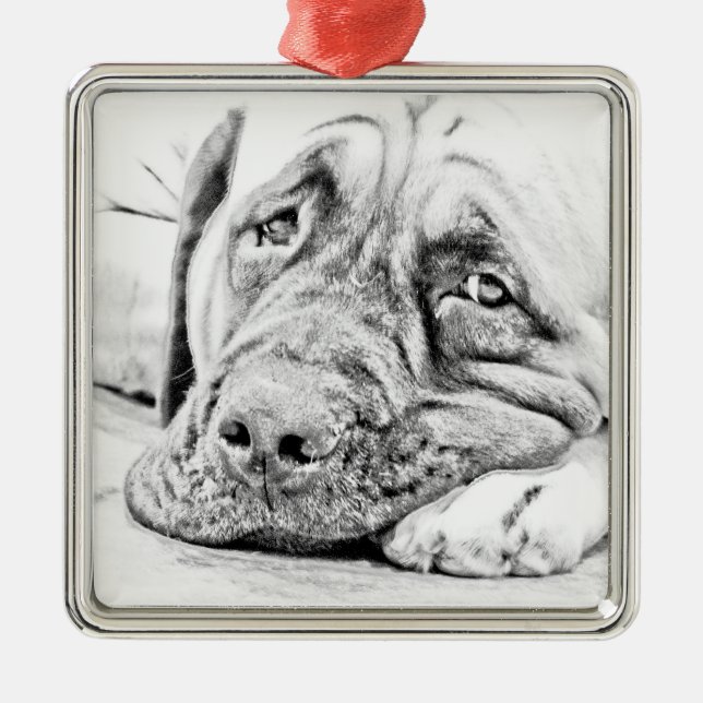 Fauler Mastiff Silbernes Ornament (Vorne)