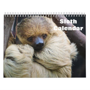 Faultier 2027 kalender