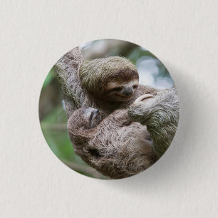 Faultier-Baby mit Mutter an einem Baum hängend Button