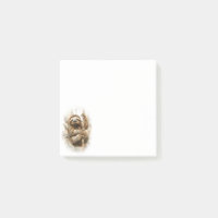 Faultier im Regenwald