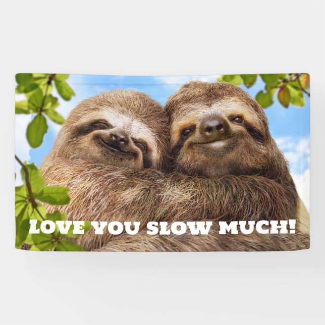 Faultier-Pärchen Banner (Horizontal)