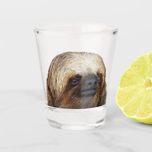 Faultier Schnapsglas