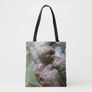 Faultierbaby mit Mutter an einem Baum hängend
