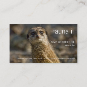 Fauna - Meerkat Visitenkarte