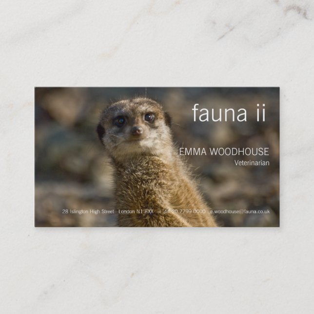 Fauna - Meerkat Visitenkarte (Vorderseite)
