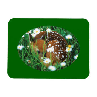 Fauna und Wildblumen Magnet