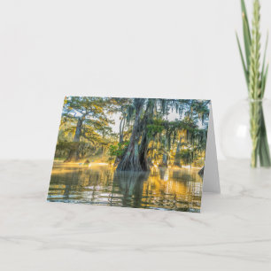 Fausse Staat Park/Garten Karte