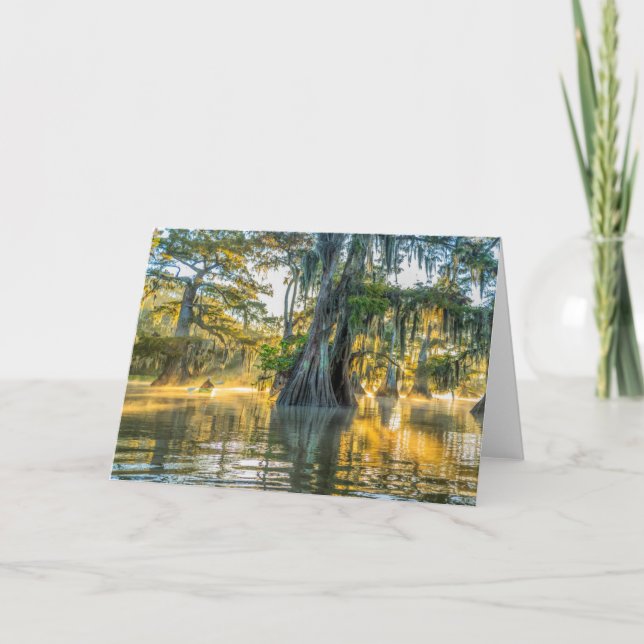 Fausse Staat Park/Garten Karte (Vorderseite)