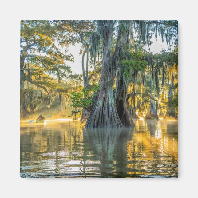 Fausse Staat Park/Garten Magnet (Vorne)