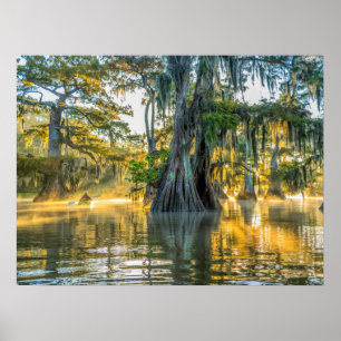 Fausse Staat Park/Garten Poster